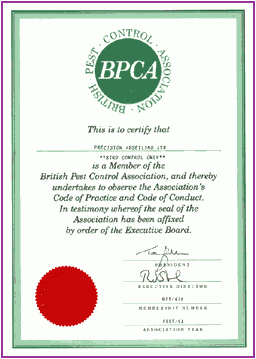 Precision Abseiling - British Pest Control Association - certificate