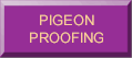 Pigeon Proofing